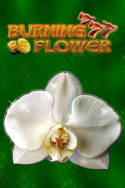 Burning Flower chez Viking Luck Casino